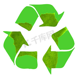 白色背景上用绿叶制成的回收标志