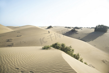 沙漠步行摄影照片_行走在沙漠