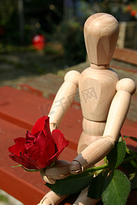 红玫瑰送给心爱的人特写