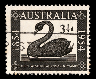 在澳大利亚打印的邮票显示天鹅，西澳大利亚第一张邮票百年