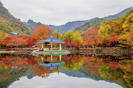 游客在秋季拍摄韩国 Naejangsan 周围美丽的风景。