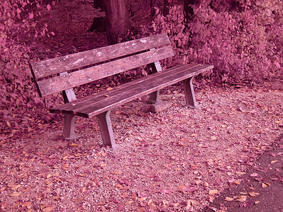 德国斯瓦比亚阿尔伯秋季公园长椅的红外照片
