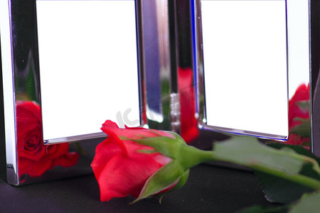 玫瑰花框摄影照片_银框和红玫瑰
