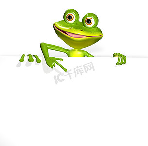 青蛙和白色背景