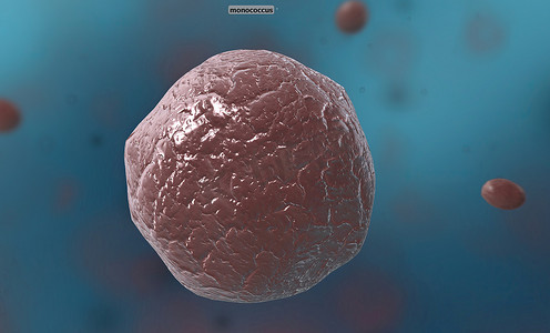 球菌是任何具有球形、椭圆形或大致圆形的细菌或古细菌。