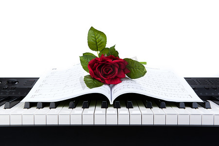 笔记本上的钢琴键和玫瑰花