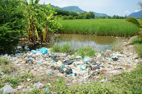 环境问题，垃圾填埋场，农田，被污染