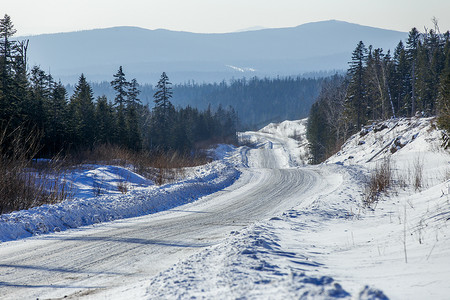 白雪覆盖的道路经过俄罗斯偏远针叶林的高大针叶树