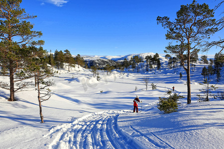 滑雪之旅