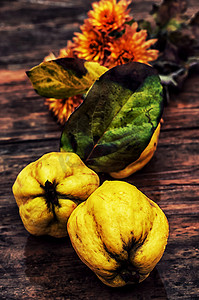 木瓜酸摄影照片_成熟的木瓜