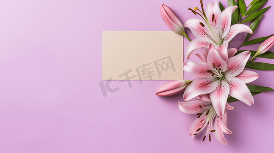粉色背景贺卡摄影照片_粉色百合花放和贺卡在粉色背景右侧