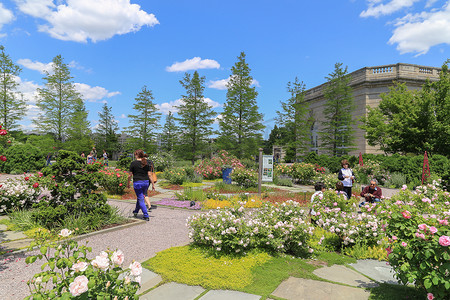 欢迎蓝色摄影照片_美国华盛顿特区的植物园