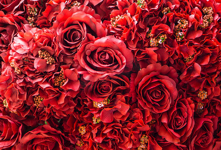 许多红玫瑰花背景