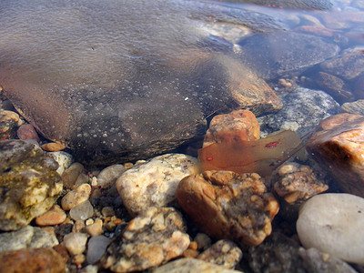 水中鹅卵石摄影照片_冰和石头在水中