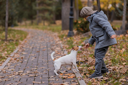 白人男孩和一只狗在秋天的公园里散步。
