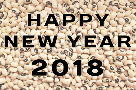 黑眼豆豆的新年快乐 2018 文本