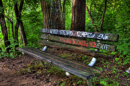 树林里的涂鸦长凳