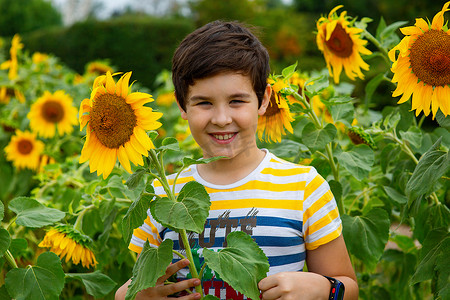 快乐的男孩站在向日葵花中，夏天，在公园里