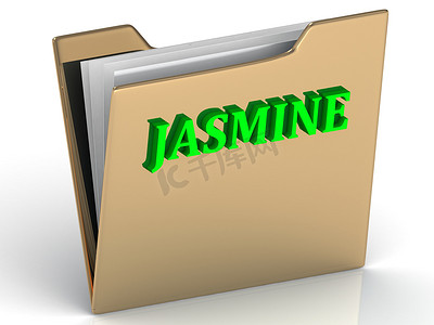 JASMINE-金色文书文件夹上的亮绿色字母