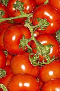 番茄红素礼盒摄影照片_番茄