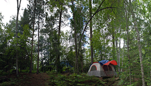 森林帐篷露营