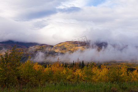 北方地区摄影照片_加拿大育空地区雾蒙蒙的秋天北方森林针叶林丘陵