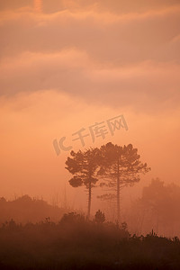 雾摄影照片_夕阳下的雾