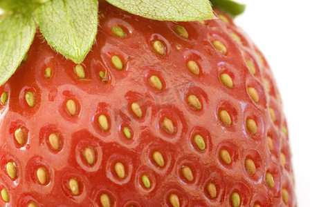 一个成熟红色多汁的草莓的宏观看法