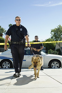 中年警察摄影照片_在犯罪现场与训练有素的狗一起行走的警察的全长