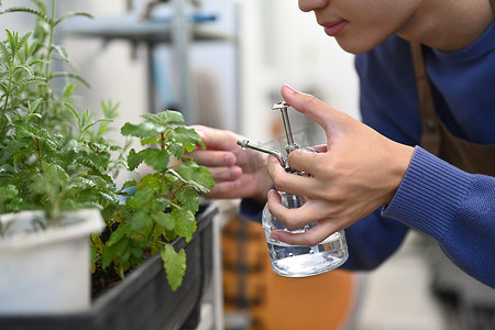 人照料植物并用喷雾瓶中的纯净水喷洒植物的裁剪镜头。