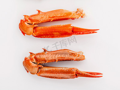 螃蟹和海的白色背景中分离的煮蟹爪