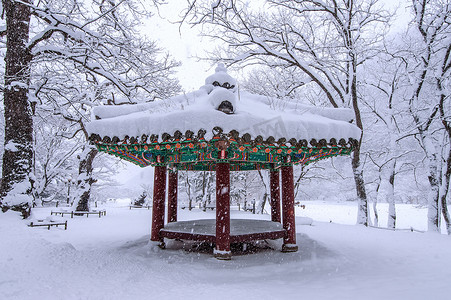 韩国首尔的冬季景观，雪花飘落。