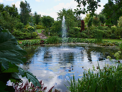 池塘瀑布摄影照片_花园中的观赏池塘和喷泉