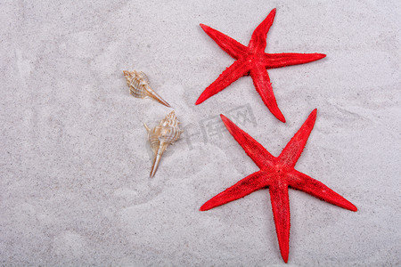 沙子背景上的红海星和两个贝壳