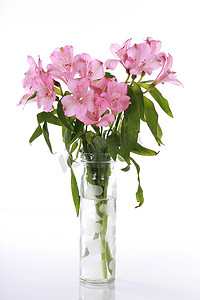 粉色百合花瓶
