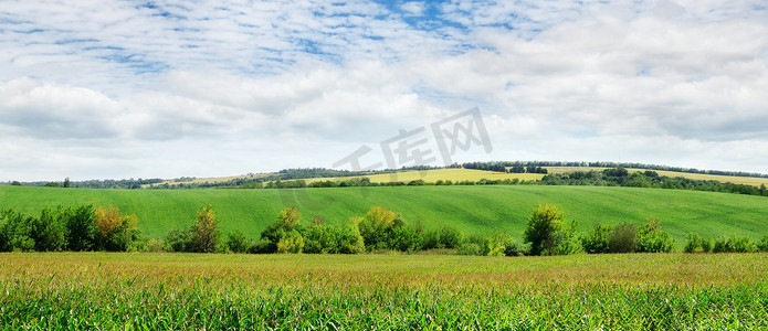 绿色农场摄影照片_绿色的田野和天空与轻云