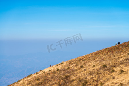 森林草原背景摄影照片_Doi Inthanon，清迈，泰国高山稀树草原草原