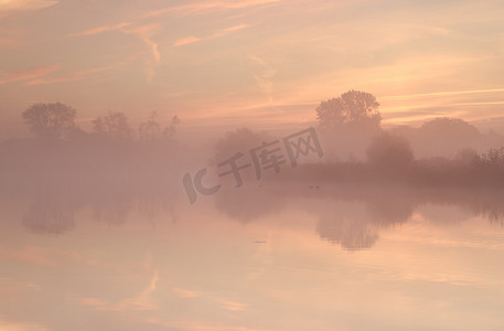 树剪影剪影摄影照片_在朦胧的日出期间湖边的树剪影