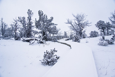 木板雪摄影照片_木板路 1 上的晨雪