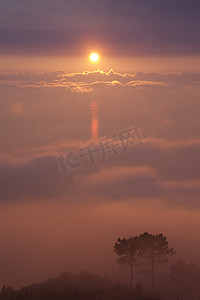 雾摄影照片_夕阳下的雾