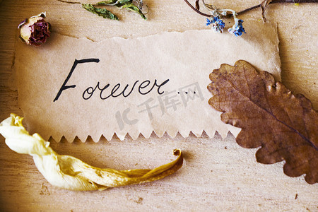 永远在旧纸上的文字、文字和字母、干燥的植物和花朵、秋色