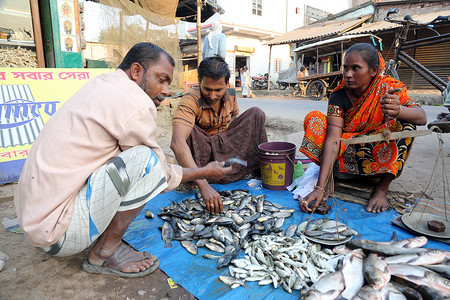 印度西孟加拉邦 Kumrokhali 的鱼市