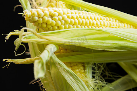 鲜玉米摄影照片_黑色背景中玉米棒上的新鲜玉米