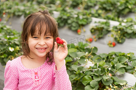 在草莓农场采摘草莓的年轻女孩