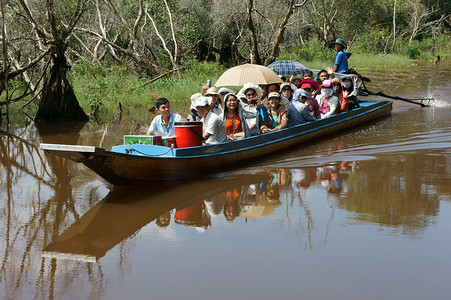 湄公河三角洲、茶苏靛蓝森林、生态旅游
