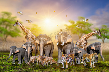 大群非洲野生动物。