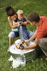 给狗洗澡摄影照片_一家人给狗洗澡。