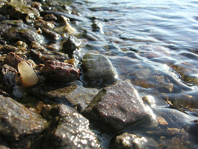 水中的小石头