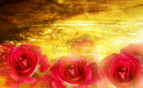 梦幻闪耀摄影照片_群 os 红玫瑰在闪闪发光的 ans 闪耀在金色的河流散景