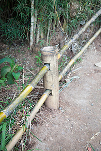 竹篱笆。